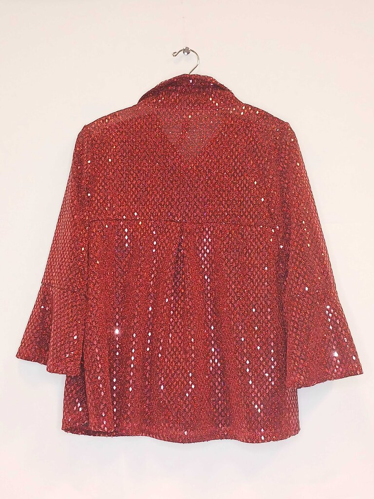 Damee Sheer Button Up Top