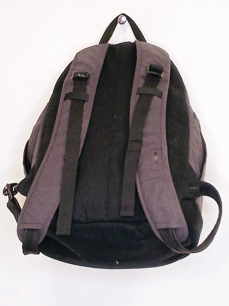 Pacsafe Backpack