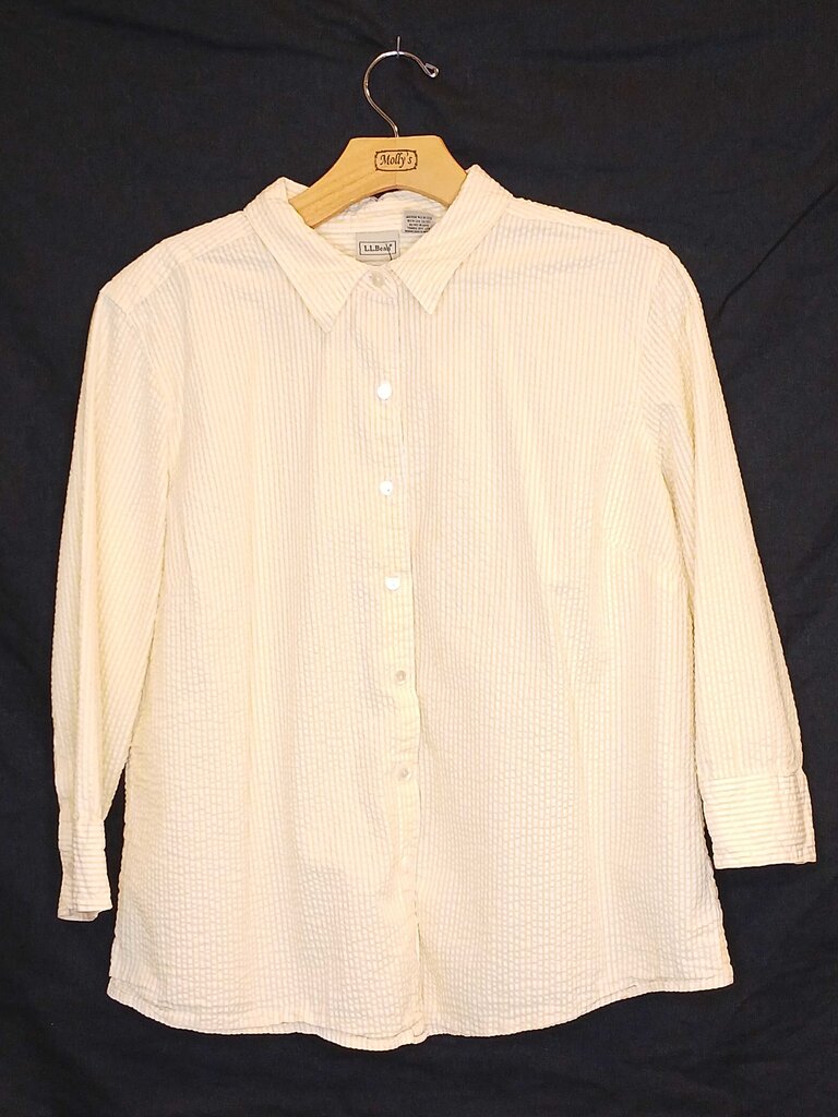 LL Bean Button Down Top