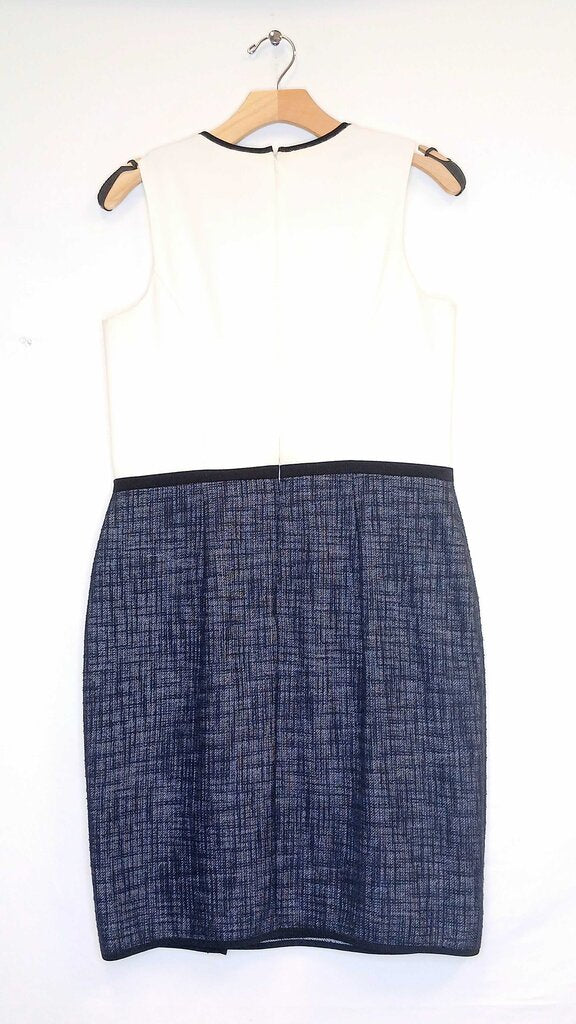 Ann Taylor Sleeveless Dress