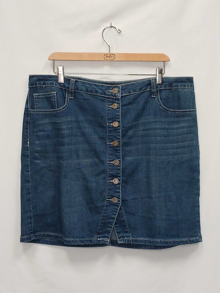 Earl Jean Denim Skirt