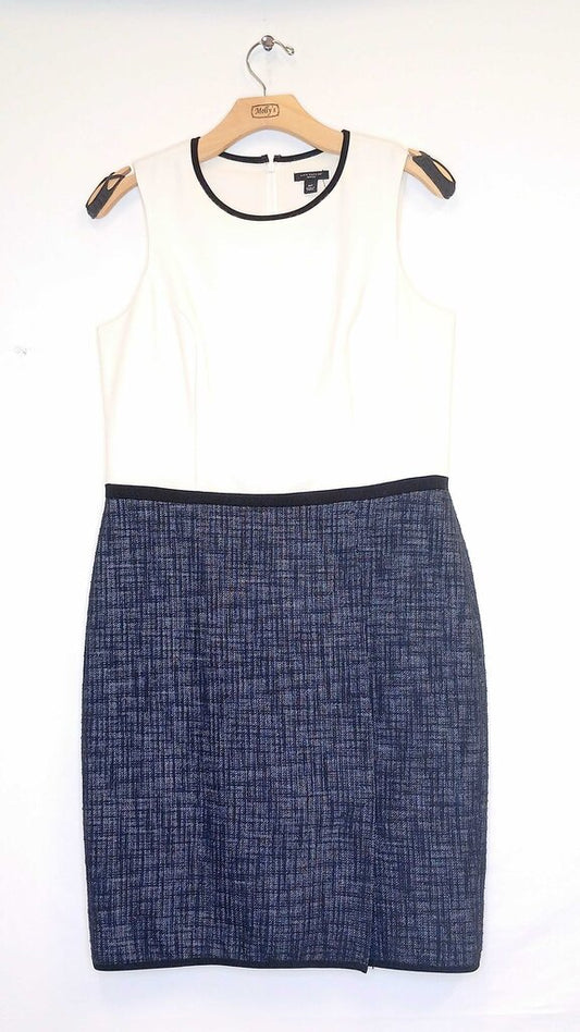 Ann Taylor Sleeveless Dress