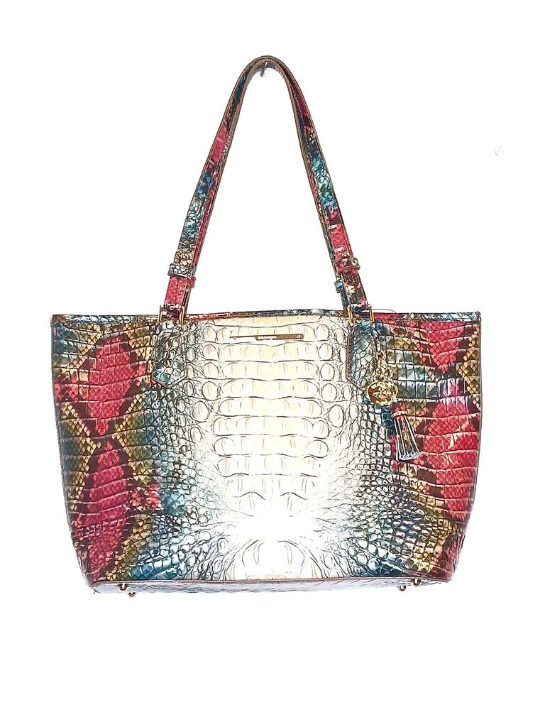 Brahamin Komodo Medus Asher