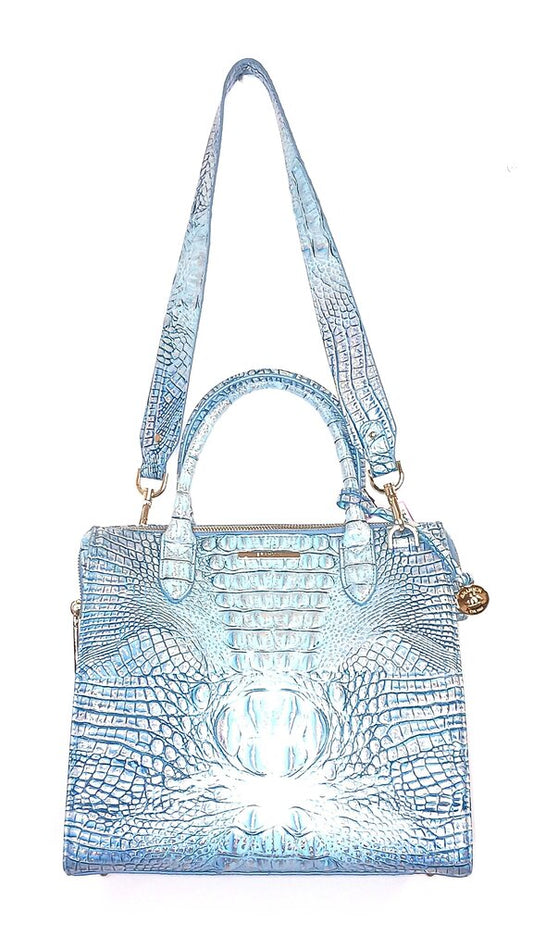 Brahmin Canoline Handbag or Crossbody