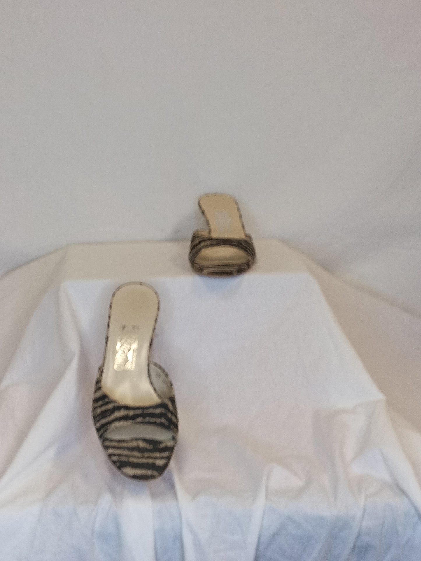 Ferragamo Heels