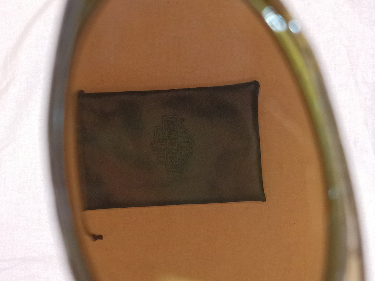 Harley Davidson Sunglasses & Pouch