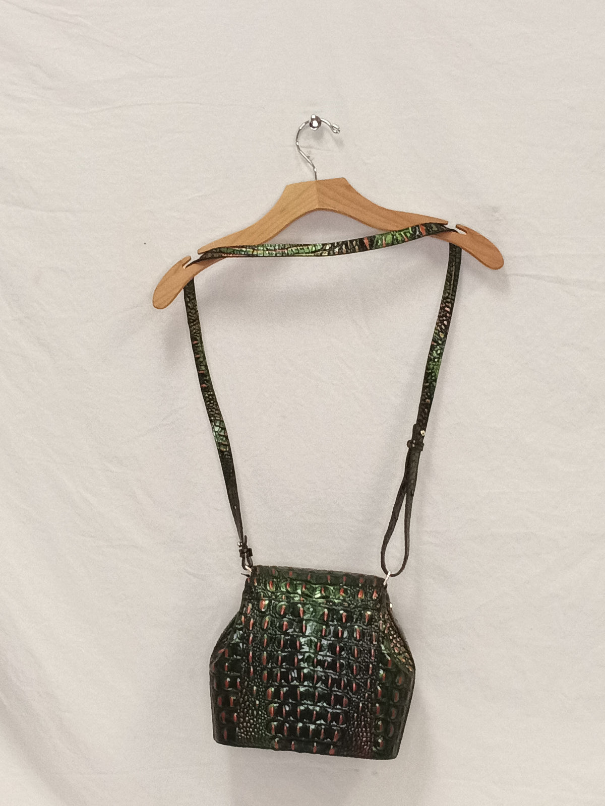 Brahmin Hard to Find Color Crossbody